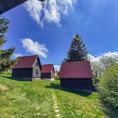 Maison d'hôtes Mikulcin Vrch 3*
